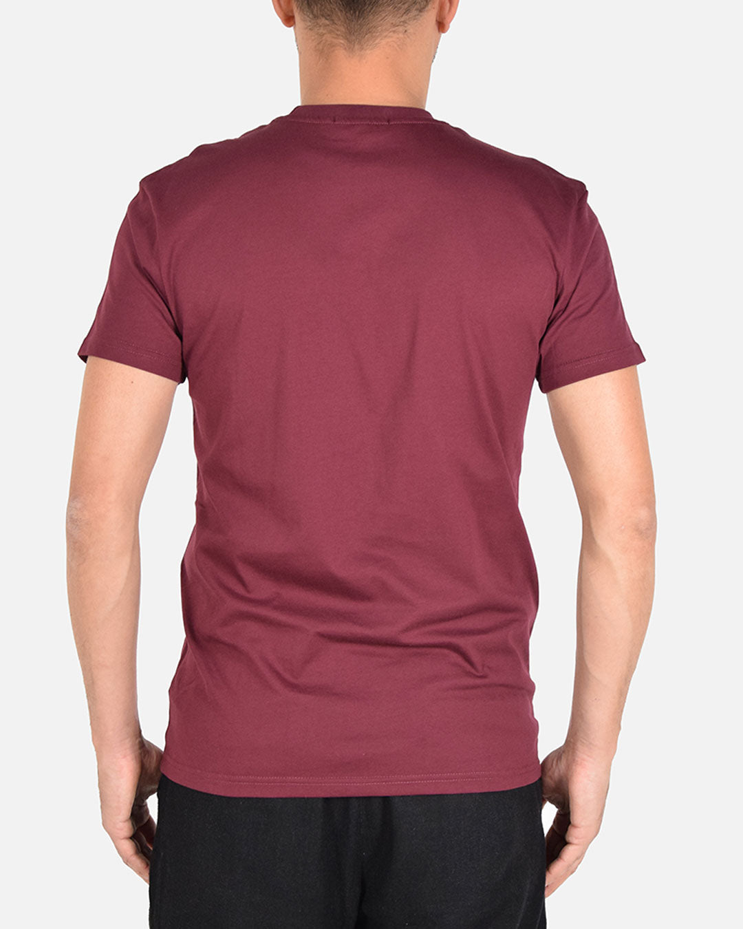 T-shirt in cotone